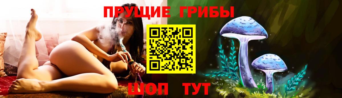 Соликамск  Псилоцибиновые грибы мухоморы  Вход с VPN  Галлюциногенные грибы Psilocybine cubensis 
